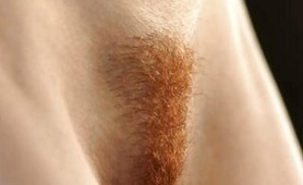 Hairy Ginger Redheads Nude